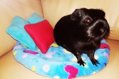Betty